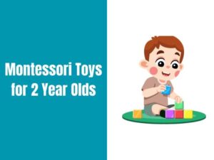 Best Montessori Toys For 2-3 Year Olds