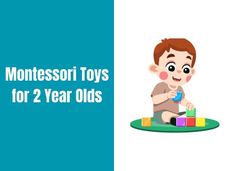 Montessori Toys for 2 Year Olds