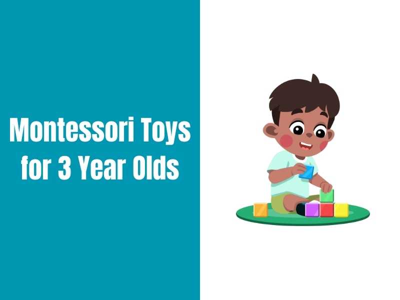 Best Montessori Toys For 3 Year Old