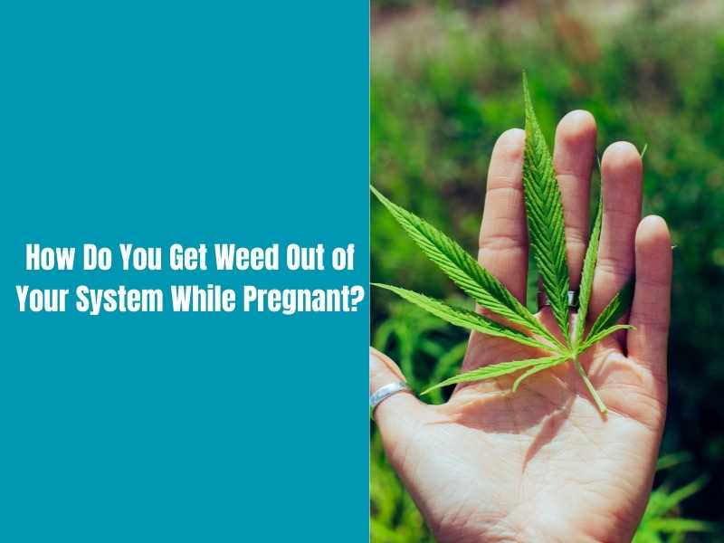 How Do You Get Weed Out of Your System While Pregnant?
